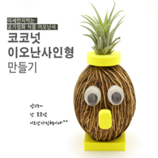 사이언스타임 공기정화식물 코코넛 이오난사 인형 만들기