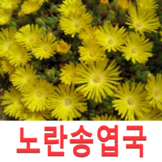 da3f4afe38da1b9305c072a5a811d27606bfeb9453999815b5b8355c6558.png