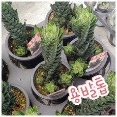 e7001b4cc208c26ed97b11aee623a45fe2596c75541728f1cb2f6f659ee7.jpg
