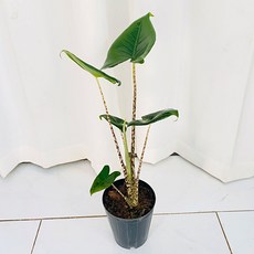 8b5f3aa6d3798643691f7f5d2ae6aee6428db2d6ab19a5c2f9c6eb05dbc3.jpg