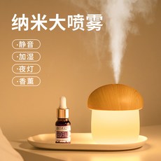 제올라이트가습기