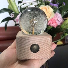 하포드 단델리온 민들레 문진 생일 선물 인테리어 소품, 6.5cm 무곡 민들레 장식 (선물 상자개