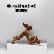 모파니 투톤유목 테라리움유목 비바리움유목 대형유목 파충류 은신처 수초활착유목 새우 먹이 새우은신처 어항 레이아웃 목부작 어항꾸미기 솟대 횃대, 1개