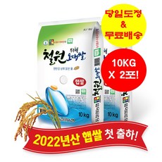 철원오대쌀20