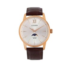 시티즌문페이즈