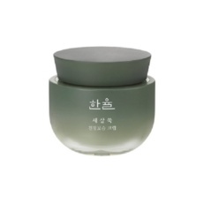 한율 세살쑥 진정보습 크림50ml, 50ml, 1개