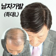 남자중년통가발