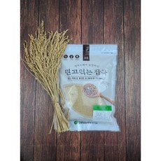 2020년산 햇곡 현미쌀눈(씨눈) 쌀눈 선식 국내산 500g 500g+500g 1kg, 1, 1kg ( 500g x 500g)
