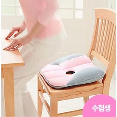 디스크방석