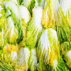 배추-추천-상품