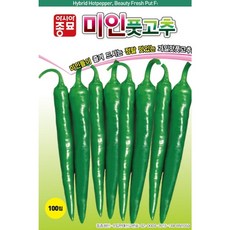 미인풋고추모종