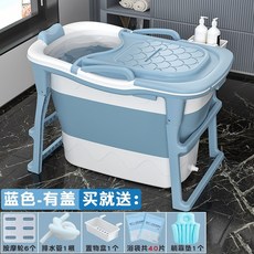 에버조이건식반신욕기