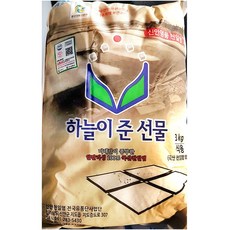 하늘하늘3타카미치