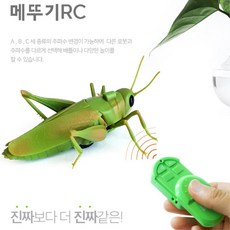 동물균형교구