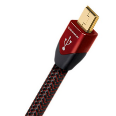 오디오퀘스트usb