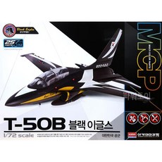 블랙이글스완구