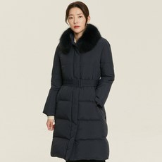 폭스퍼구스다운
