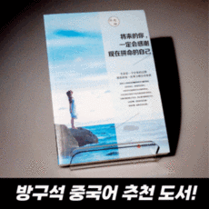 중국어원서