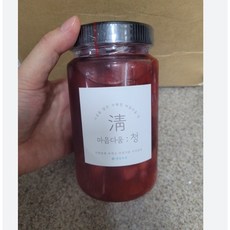 자일로스생강청