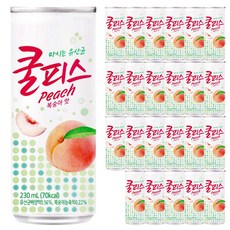 쿨피스