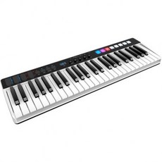다기능 MIDI 컨트롤러 IK 멀티미디어 IRIG Keys I/O 49키, 본문참고, 본문참고