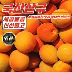 국내산 새콤달콤 햇주황 살구 2kg, 1개