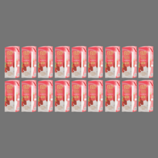 배스킨라빈스 우유에 빠진 딸기, 18개, 240ml