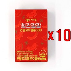 혈관팔팔