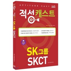 skct인적성