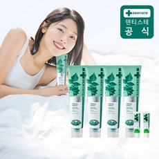 덴티스테 뉴 플러스화이트 치약 200g x 4개 + 여행용 플러스화이트 5g 2개