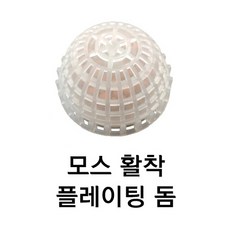 모스 플레이팅 돔 장식품, 1개