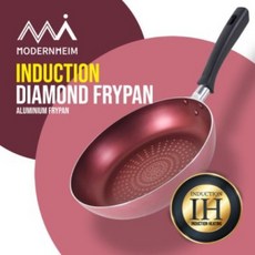 모던하임인덕션