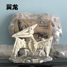 슐라이히공구