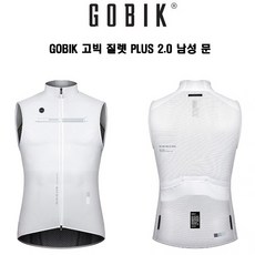 고빅질렛
