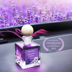 더뉴카니발xm-784