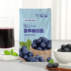 황금이네 블루베리즙 2박스(60포), 70ml, 2개