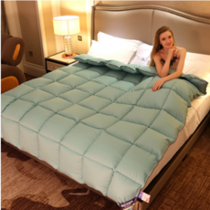 구스다운이불솜