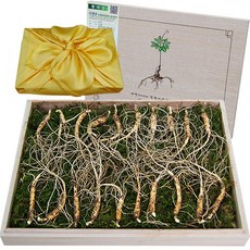 아리아리산삼 6 8 10년근 15뿌리 장뇌삼 산삼 산양삼 산양산삼 자연산 주 설 추석 선물세트 1개 6년근 20뿌리 상품 이미지