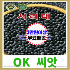[OK씨앗] [서리태] 서리태콩씨앗 종자(오케이씨앗), 600g