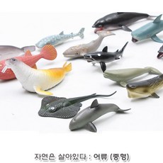 문어과학책
