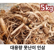 못난이 인삼 5년근 5kg 파지 인 인삼파삼 못난이실속형 인삼 세척인삼 세척무료, 5kg인삼 세척(x), 1개