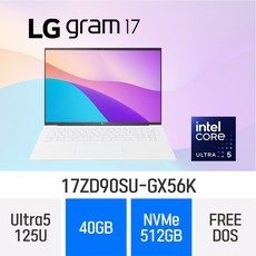 LG전자 2024 그램17 17ZD90SU-GX56K