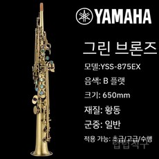소프라노 색소폰 플랫 B플랫 올 인 원 금 관악기 전문가 레슨 공연 럽, 3. 야마하 875 블루 브론즈
