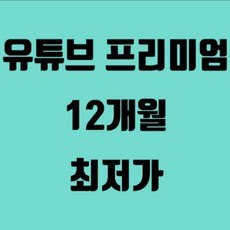 유튜브 프리미엄 + 뮤직 이용권 12개월 / 1년