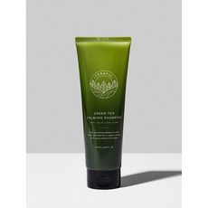 테라픽 그린티 카밍 샴푸, 1개, 250ml