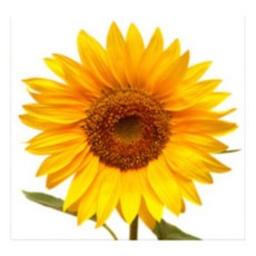 두꺼비집인테리어