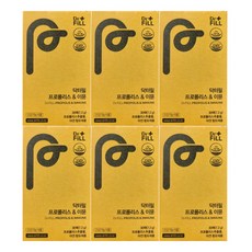 닥터필 필름형 프로폴리스이뮨 228mg x 30개입 x 6개, 30매