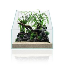 [청룡아쿠아] 테라리움 올디아망 60x35x40cm 6T