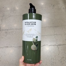 엘라스틴히말라야