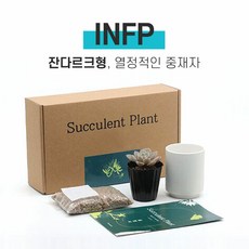 취설송키우기